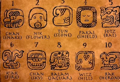 tabla maya|Learners Maya Glyph Guide